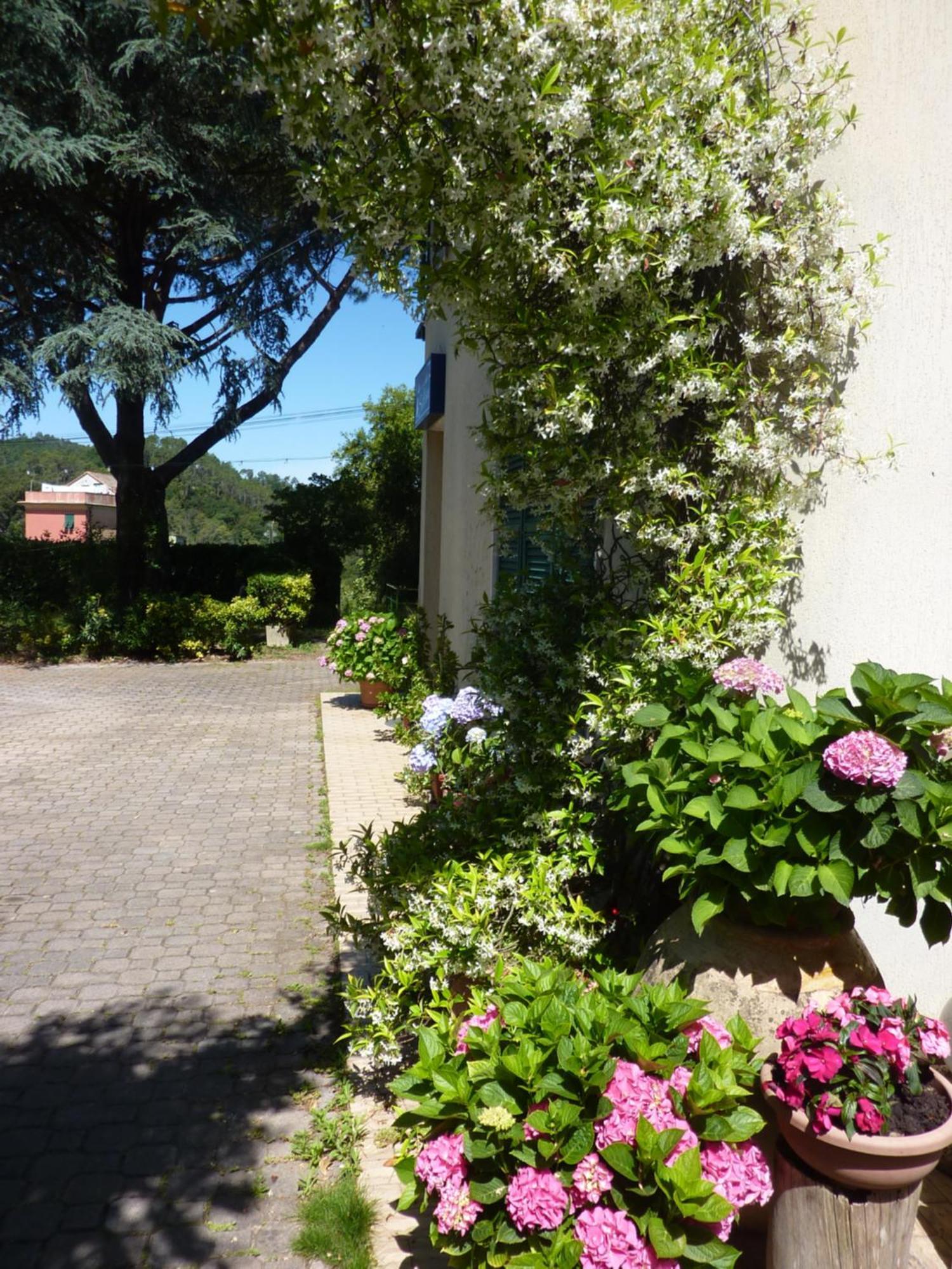 Hotel Silvia Framura - Cinque Terre Bagian luar foto