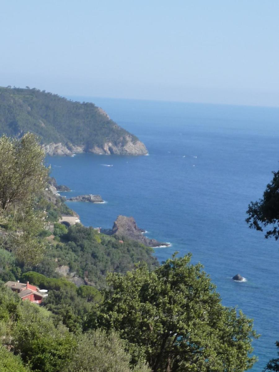 Hotel Silvia Framura - Cinque Terre Bagian luar foto