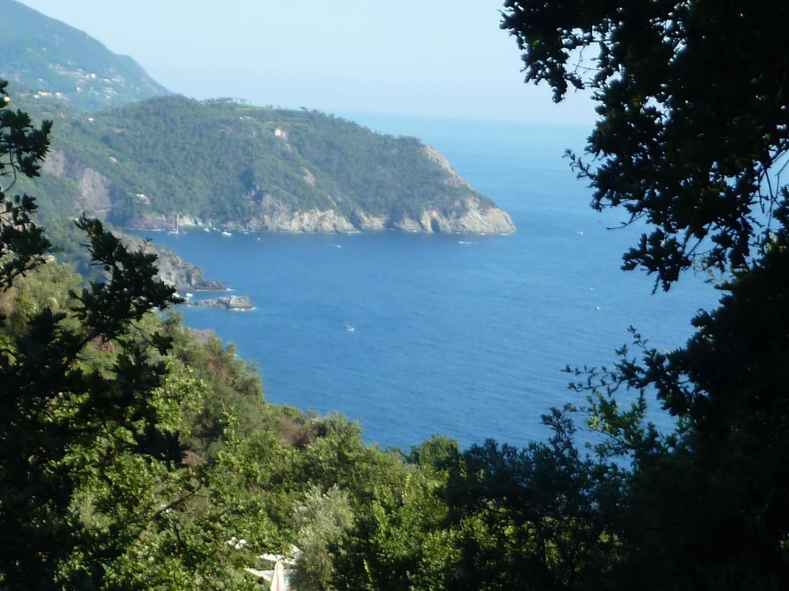 Hotel Silvia Framura - Cinque Terre Bagian luar foto